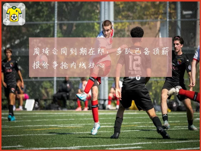 周琦合同到期在即，多队已备顶薪报价争抢内线核心