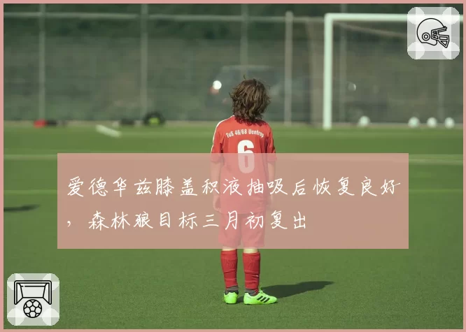 爱德华兹膝盖积液抽吸后恢复良好，森林狼目标三月初复出