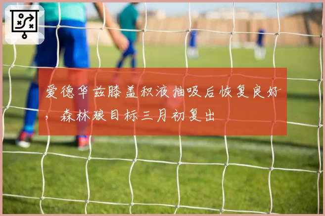 爱德华兹膝盖积液抽吸后恢复良好，森林狼目标三月初复出