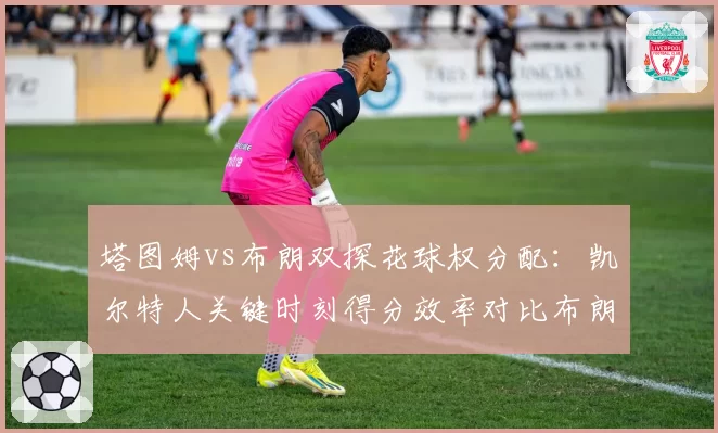 塔图姆vs布朗双探花球权分配：凯尔特人关键时刻得分效率对比布朗带队